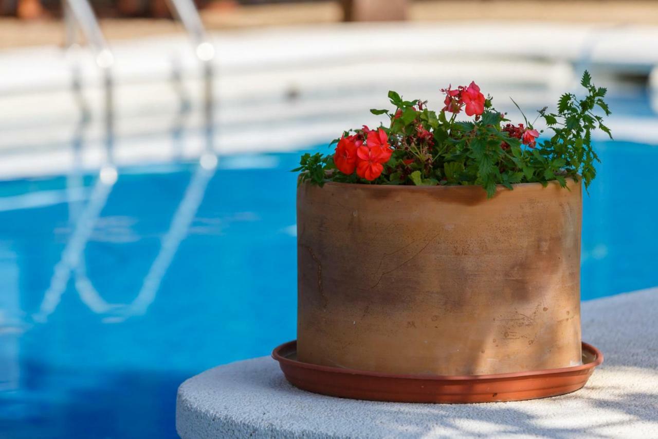 Casita Las Malvinas En Villa De Nijar Con Piscina מראה חיצוני תמונה